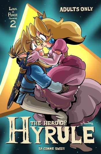 The Hero of Hyrule cover