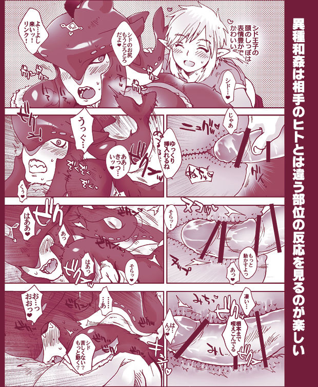 SidLink - The Legend of Zelda Assortment 2.0 page 4 full