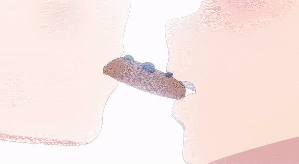 Shinigami Bocchan to Kuro Maid Gifs page 7 full