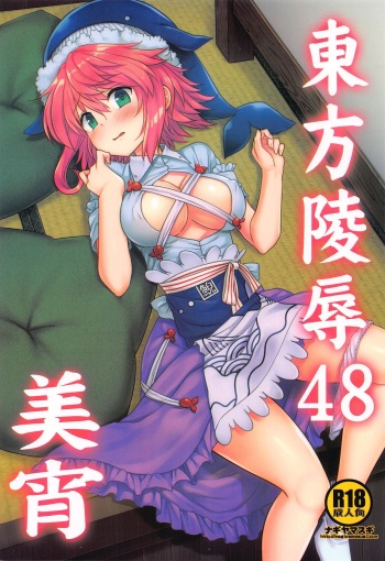 Touhou Ryoujoku 48 Miyoi cover