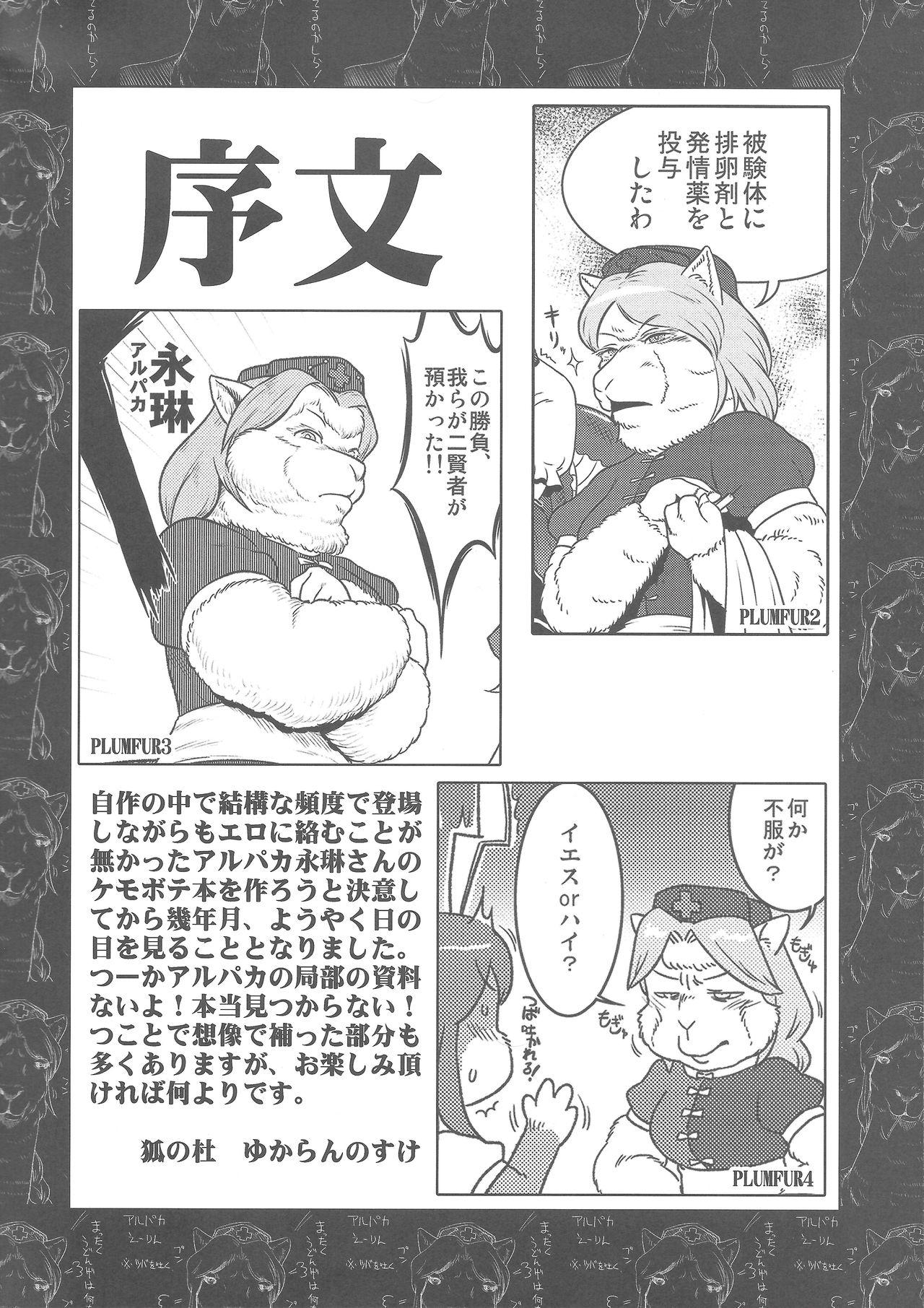 Alpaca Eirin Ninn-Shinn Kokoroe Ki page 3 full