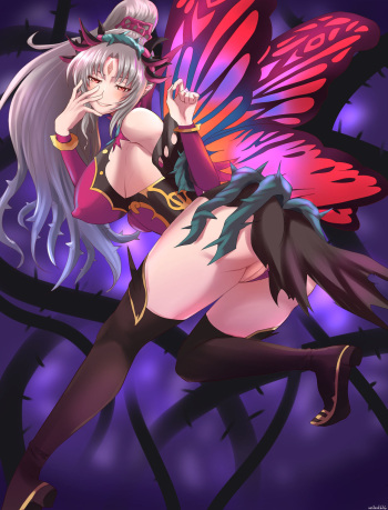 Plumeria's Nightmare cover