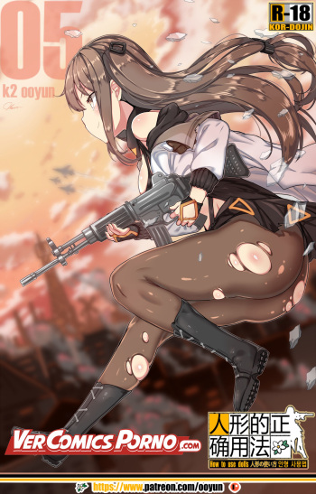 How to use dolls 05 cover