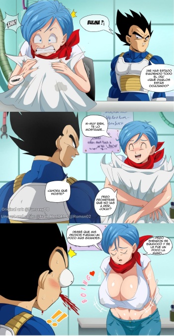 Bulma's New Boobs cover