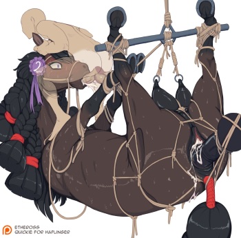 Etheross cover