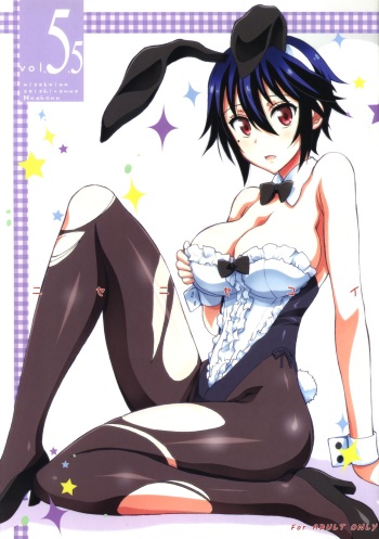 Nisenisekoi 5.5 cover