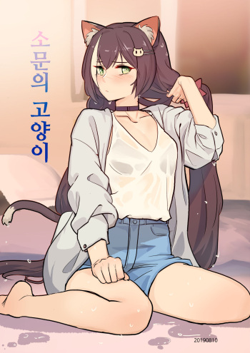 The cat of the rumor cover
