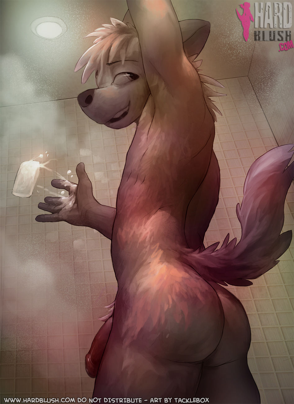 Drop the Soap page 1 full