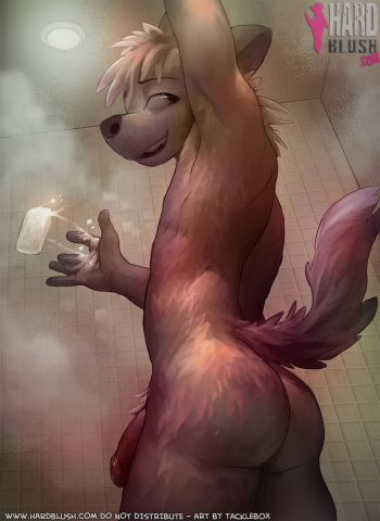 Drop the Soap cover