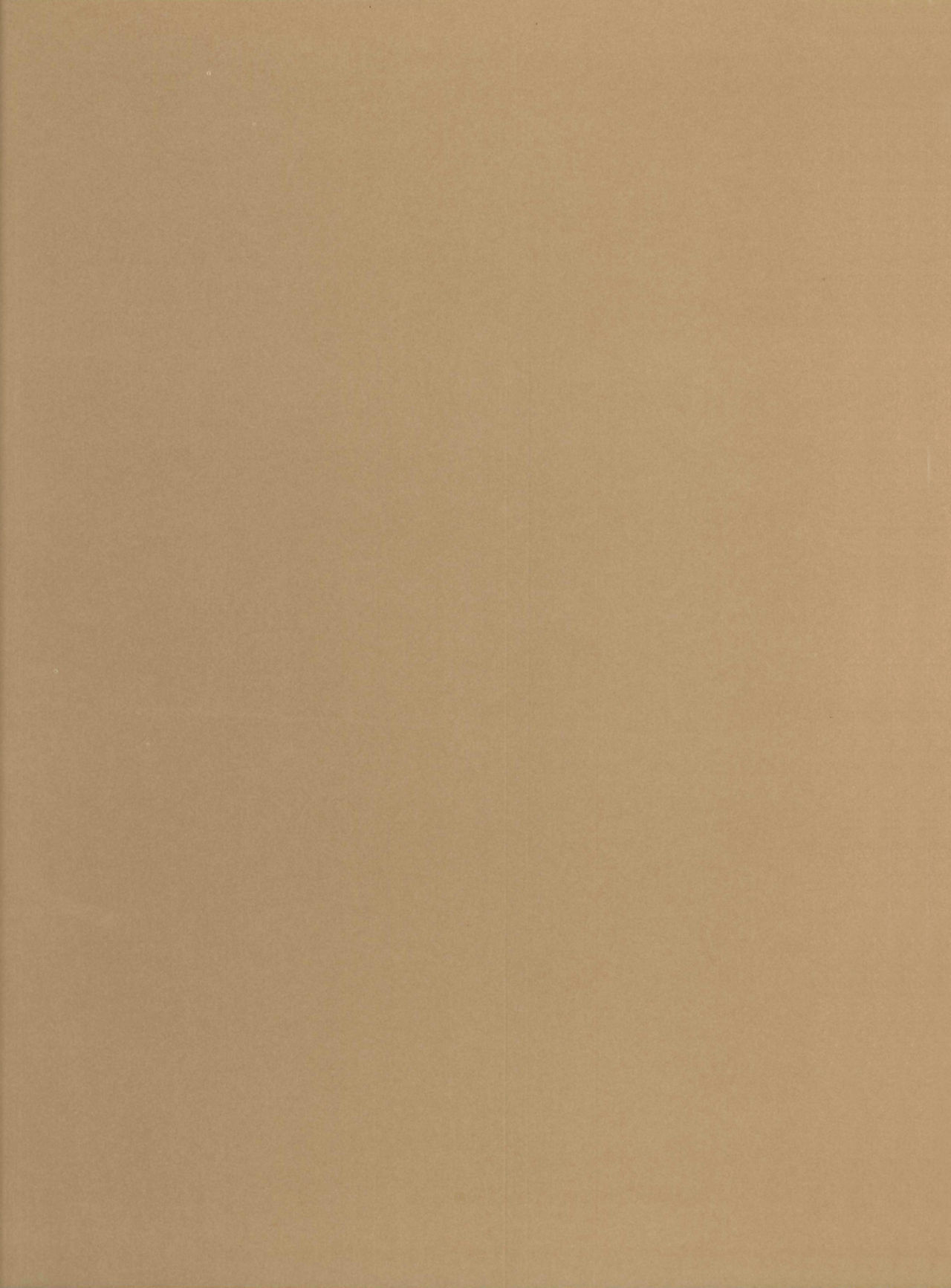 Du Plomb pour les Garces - T01 page 2 full