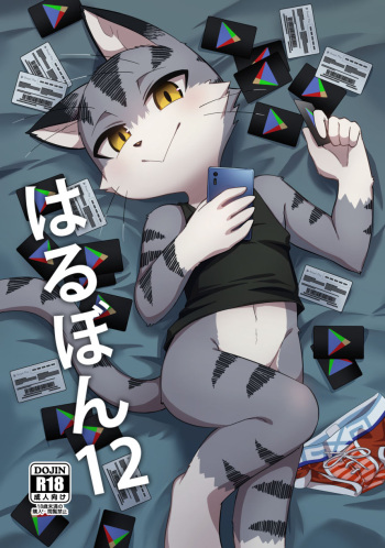 Harubon 12 cover