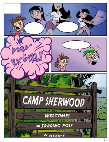 Camp Sherwood cover