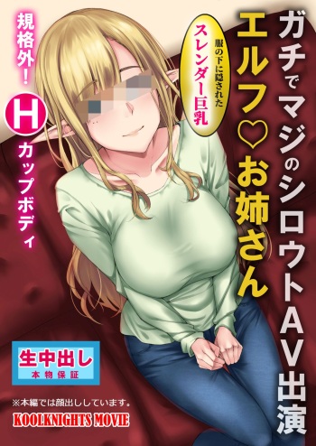 Elf no Onee-san Shirouto AV Interview cover