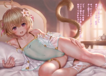 R-18 Andira cover