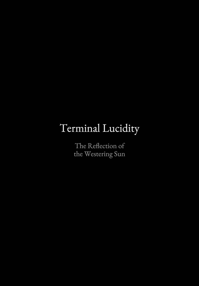 Terminal Lucidity page 3 full