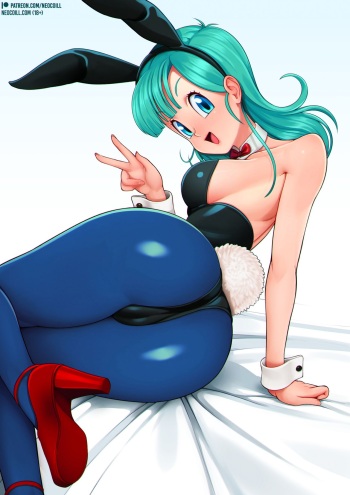 Bunny Secret + steps cover