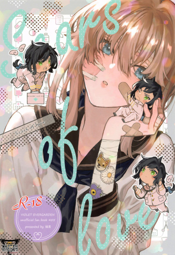 Scars of love cover