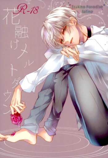 Hanadoke Meltdown cover