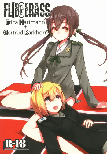 FLIEGERASS cover