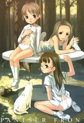PANTSER FRONT cover