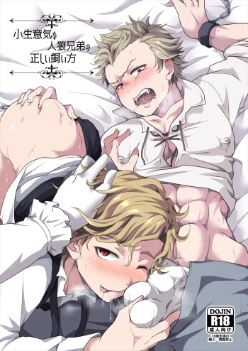 Konamaiki na Jinrou Kyoudai no Tadashii Kaikata cover