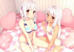 かるたも