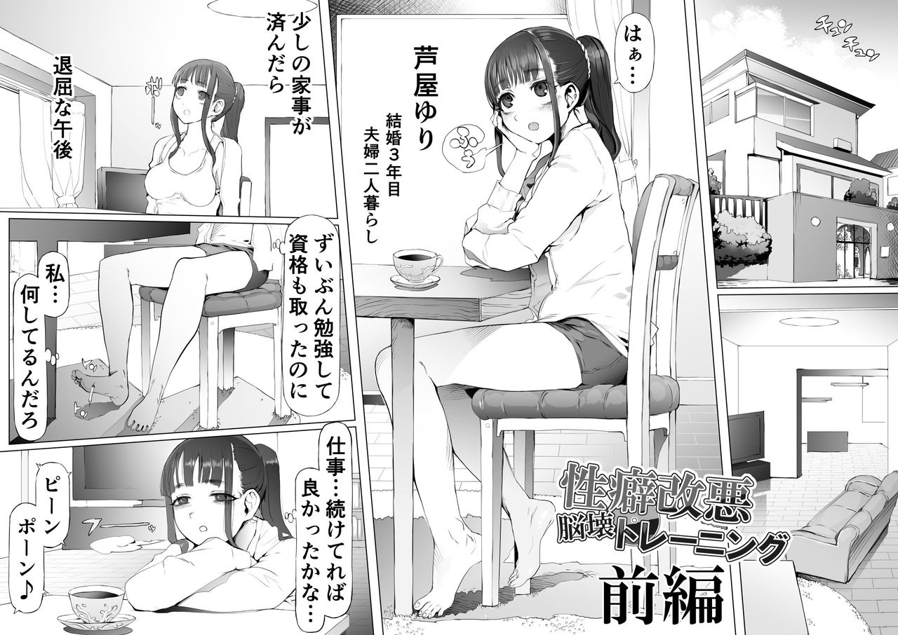 Seiheki Kaiaku Noukai Training page 3 full