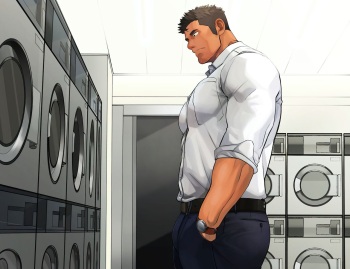 - Laundromat cover