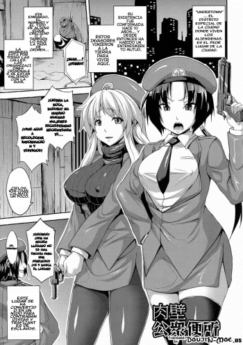Niku Heki Koushuubenjo cover
