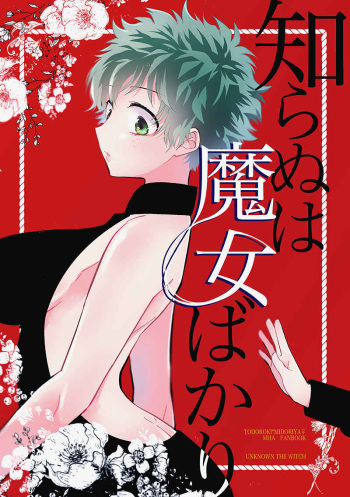 Shiranu wa Majo bakari cover