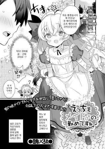 Ecchi mo Maid ♂ no Tsutome Desu cover