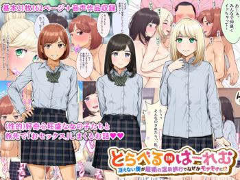 Travel in Harem cover