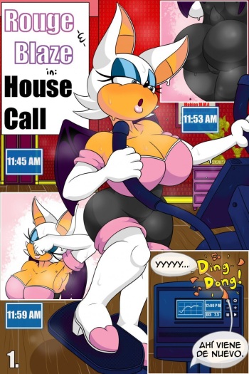 Rouge and Blaze in: House Call cover