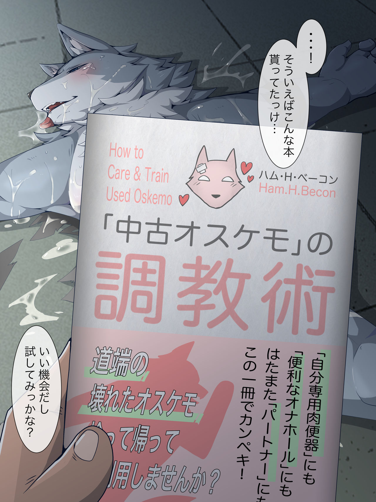 Rape sarete Kowareta Kemo Nii-san o Hirotte Dokukyonin Ken Chuuko Onahole ni Choukyou suru Hanashi page 2 full