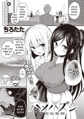 Hame Hazushi cover