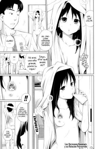 Kawamuraka kyoudai no ecchi jijio | Los hermanos Kawamura y su relación pervertida cover