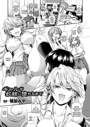 Gal ga Dorei ni Ochiru made cover