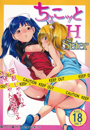 Chokotto H Sister cover
