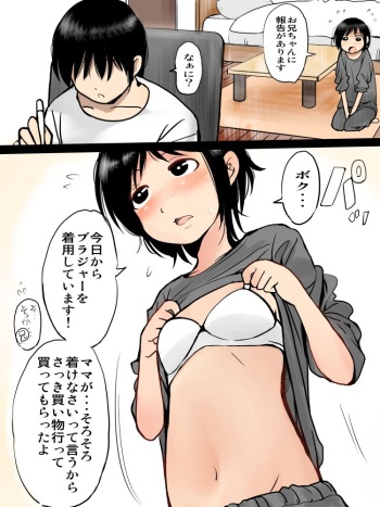 Onii-chan ga Daisuki na Imouto-chan cover