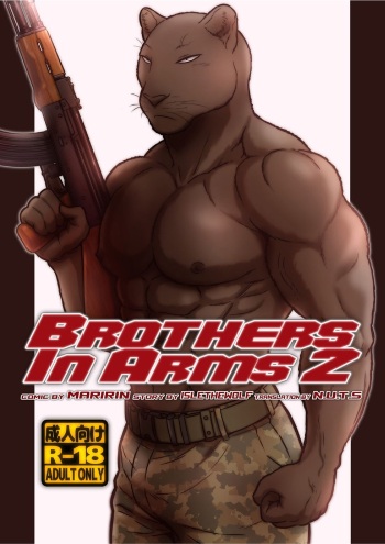 Brothes in Arms 2 cover
