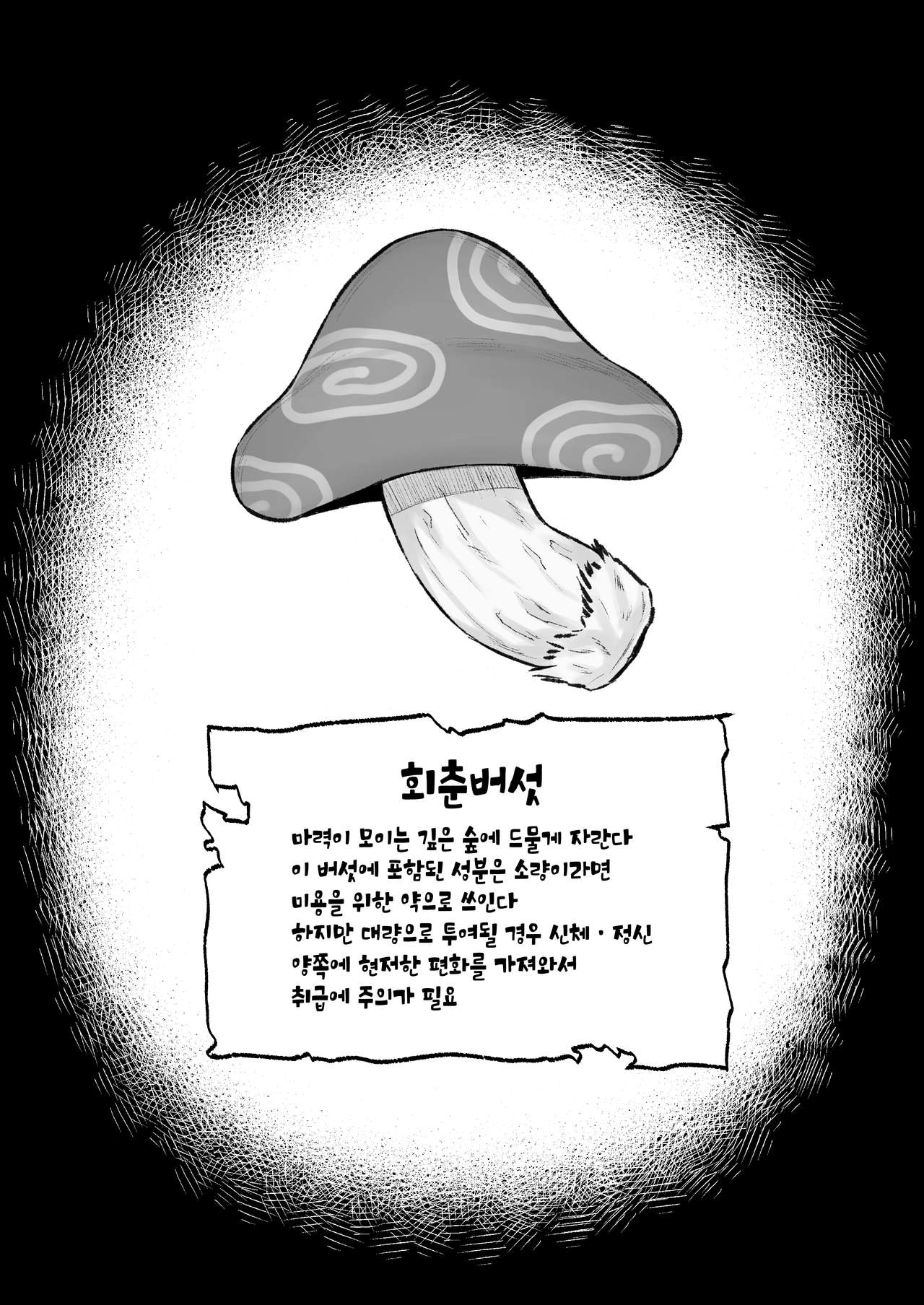 Isekai Shoukan IV Elf na Onee-san to Fushigi na Kinoko | 이세계소감 Ⅳ 엘프 누나랑 신기한 버섯 page 2 full