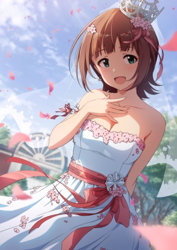 amochin cover