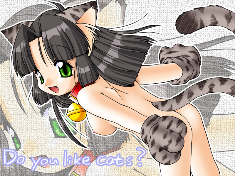 Nekogura - nekomimi graffiti page 2 full