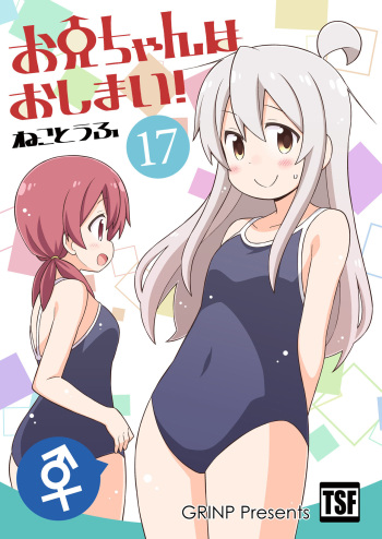 Onii-chan wa Oshimai! 17 cover