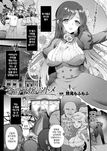 Koushaku Reijou no Tsutome cover