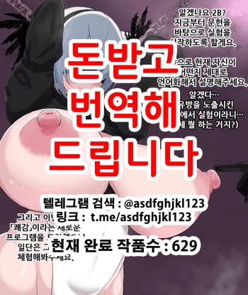 2B NF cover