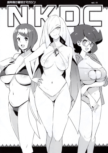 NKDC Vol. 11 cover