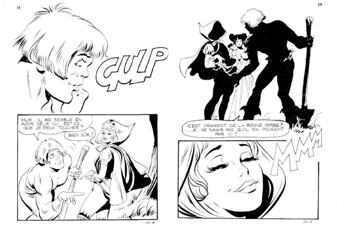Contes malicieux - T21 - Le bois des enchantements page 10 full