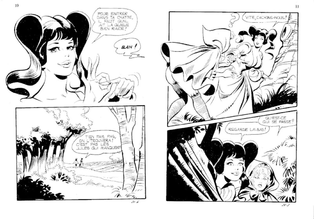 Contes malicieux - T21 - Le bois des enchantements page 6 full