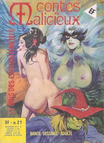 Contes malicieux - T21 - Le bois des enchantements cover